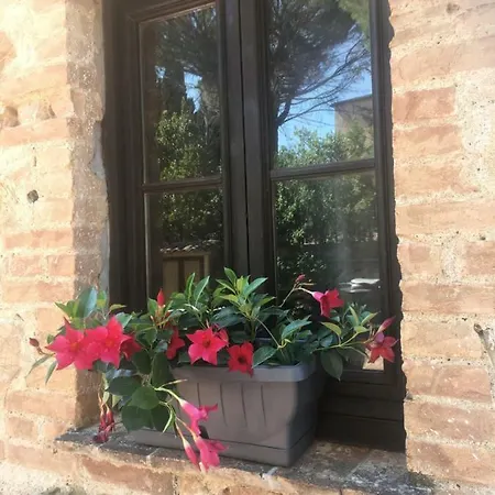 דירה Maison Violapo Al Castello *